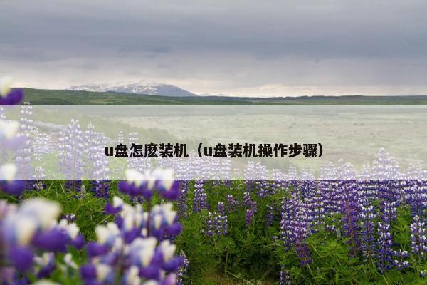 u盘怎麽装机（u盘装机操作步骤）