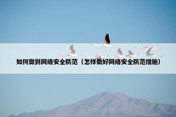如何做到网络安全防范（怎样做好网络安全防范措施）