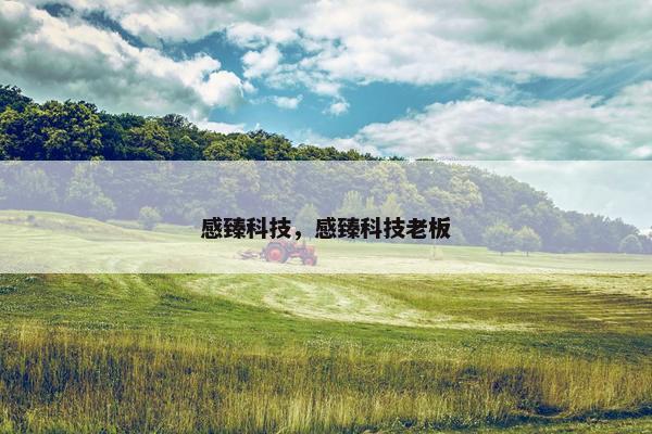 感臻科技，感臻科技老板
