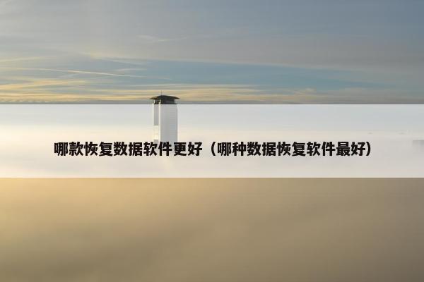 哪款恢复数据软件更好（哪种数据恢复软件最好）