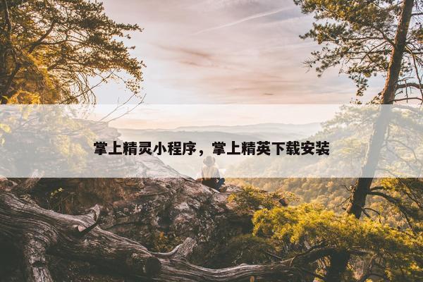 掌上精灵小程序，掌上精英下载安装