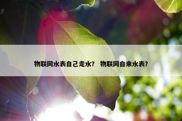 物联网水表自己走水？ 物联网自来水表？