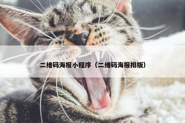 二维码海报小程序（二维码海报排版）