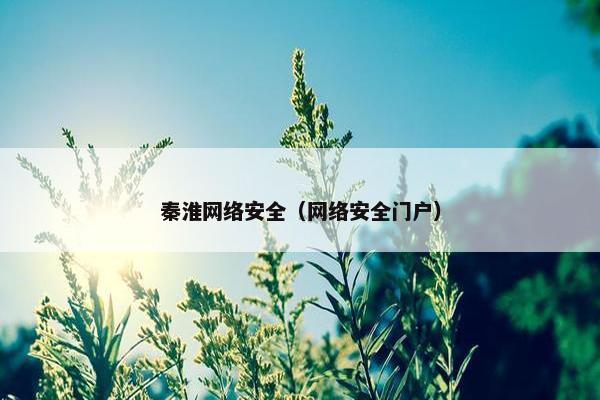 秦淮网络安全（网络安全门户）