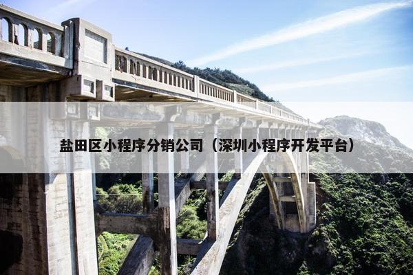 盐田区小程序分销公司（深圳小程序开发平台）