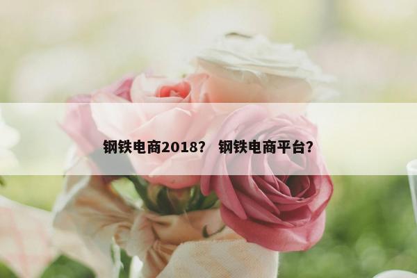 钢铁电商2018？ 钢铁电商平台？