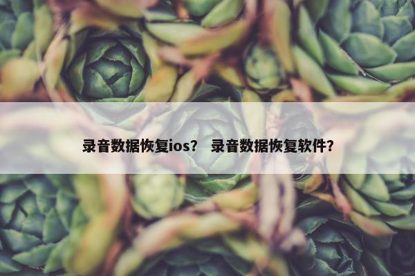 录音数据恢复ios？ 录音数据恢复软件？