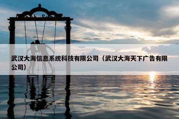 武汉大海信息系统科技有限公司（武汉大海天下广告有限公司）