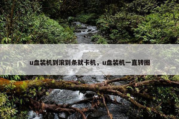 u盘装机到滚到条就卡机，u盘装机一直转圈
