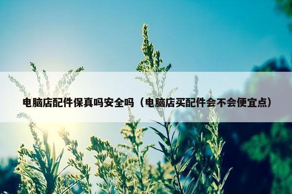 电脑店配件保真吗安全吗（电脑店买配件会不会便宜点）
