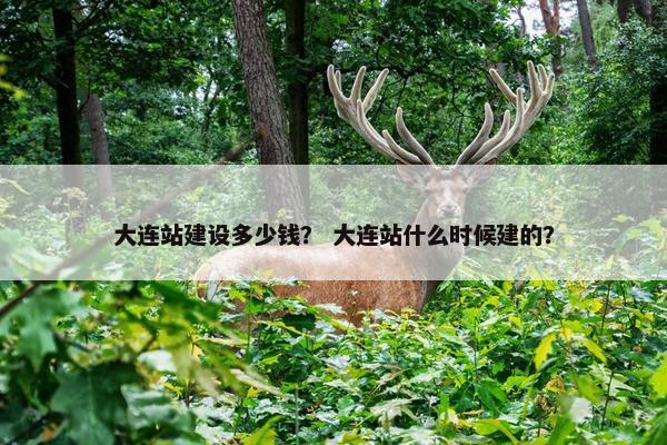 大连站建设多少钱？ 大连站什么时候建的？