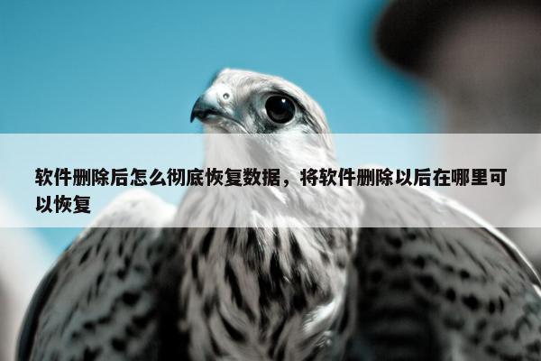 软件删除后怎么彻底恢复数据，将软件删除以后在哪里可以恢复