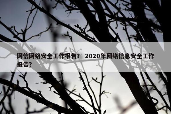 网信网络安全工作报告？ 2020年网络信息安全工作报告？