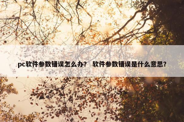 pc软件参数错误怎么办？ 软件参数错误是什么意思？