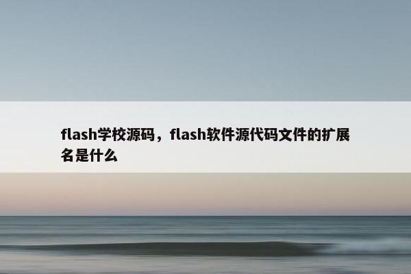 flash学校源码，flash软件源代码文件的扩展名是什么