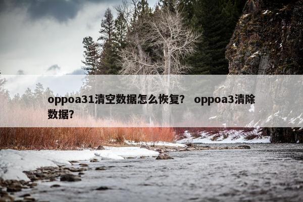 oppoa31清空数据怎么恢复？ oppoa3清除数据？