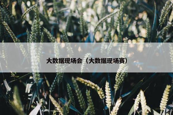 大数据现场会（大数据现场赛）