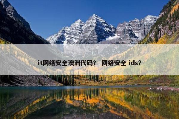 it网络安全澳洲代码？ 网络安全 ids？