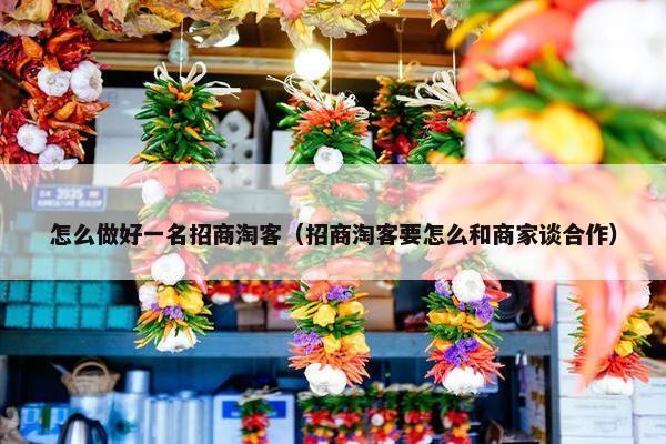 怎么做好一名招商淘客（招商淘客要怎么和商家谈合作）
