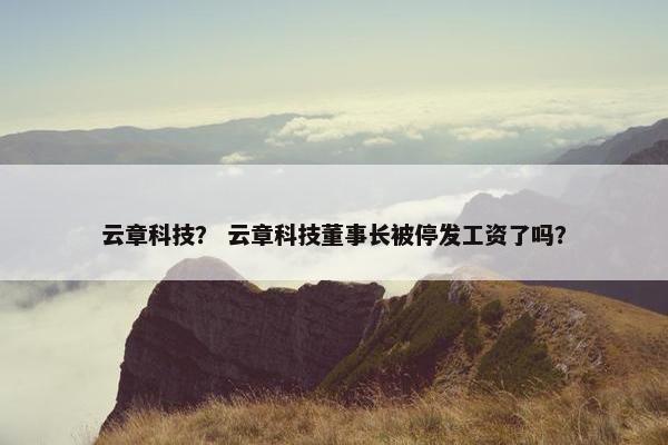 云章科技？ 云章科技董事长被停发工资了吗？