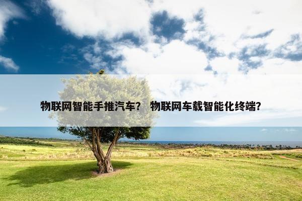 物联网智能手推汽车？ 物联网车载智能化终端？