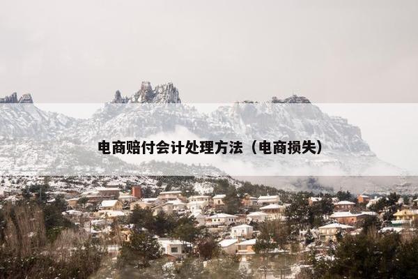 电商赔付会计处理方法（电商损失）