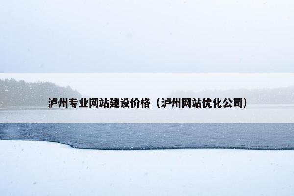 泸州专业网站建设价格（泸州网站优化公司）