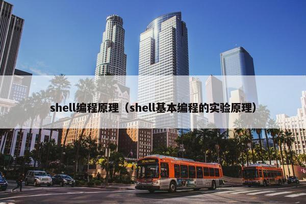 shell编程原理（shell基本编程的实验原理）