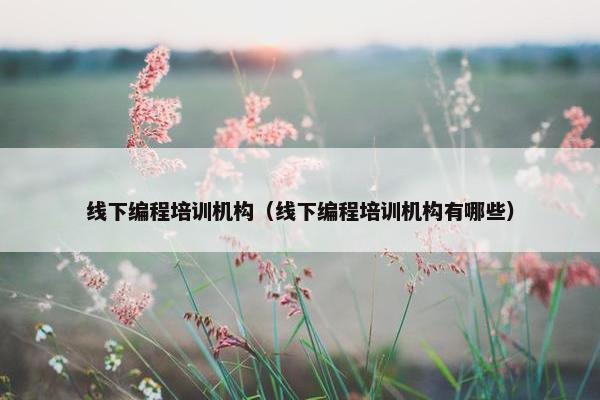线下编程培训机构（线下编程培训机构有哪些）