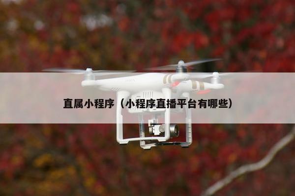 直属小程序（小程序直播平台有哪些）