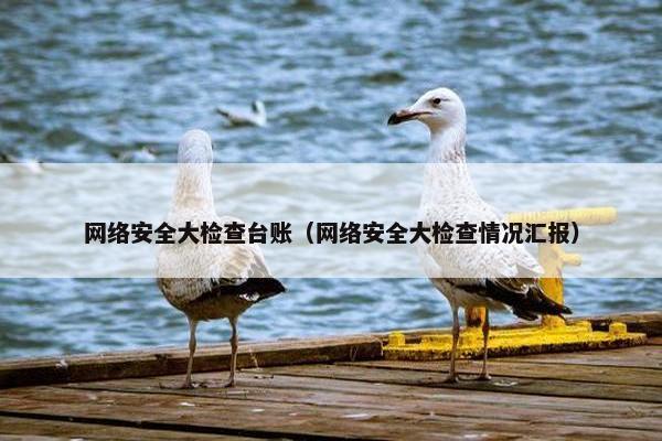 网络安全大检查台账（网络安全大检查情况汇报）