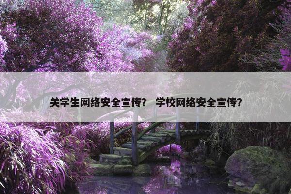 关学生网络安全宣传？ 学校网络安全宣传？