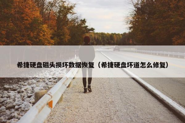 希捷硬盘磁头损坏数据恢复（希捷硬盘坏道怎么修复）