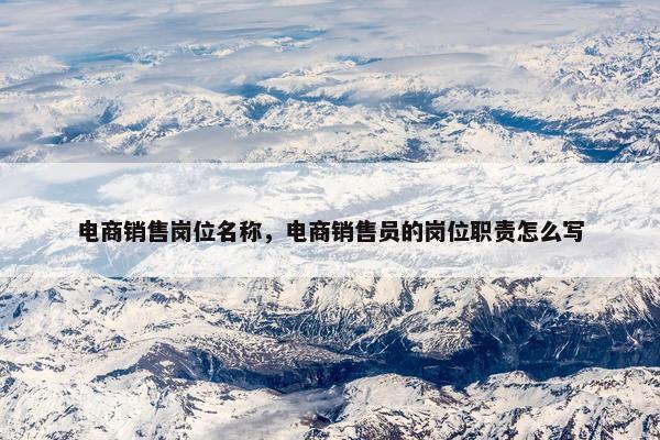 电商销售岗位名称，电商销售员的岗位职责怎么写