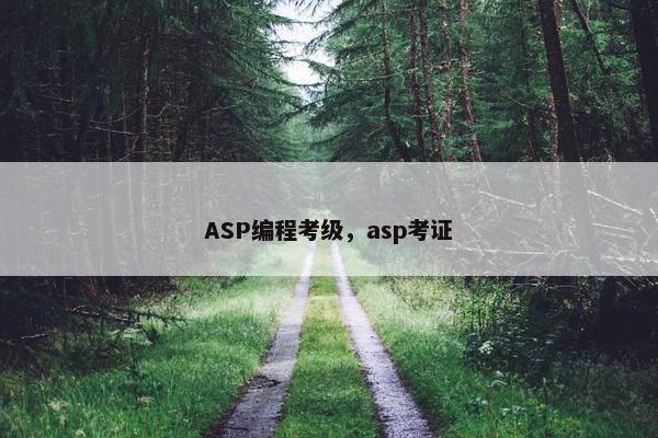 ASP编程考级，asp考证