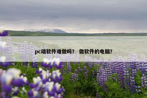 pc端软件难做吗？ 做软件的电脑？