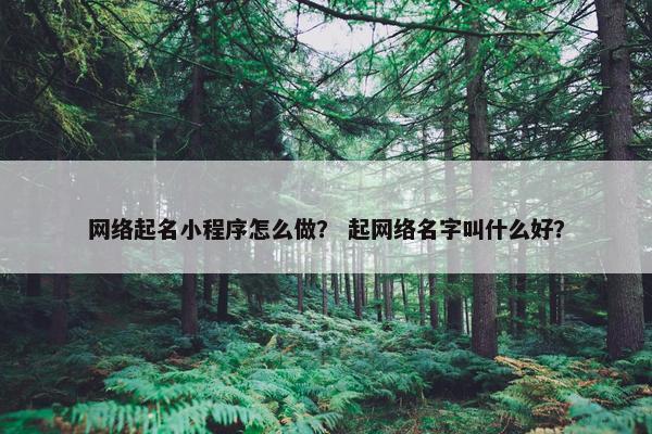 网络起名小程序怎么做？ 起网络名字叫什么好？