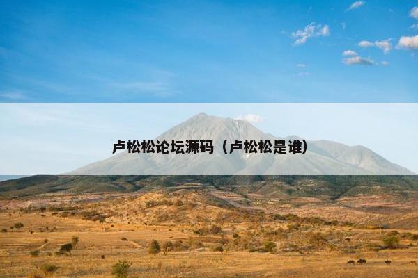 卢松松论坛源码（卢松松是谁）