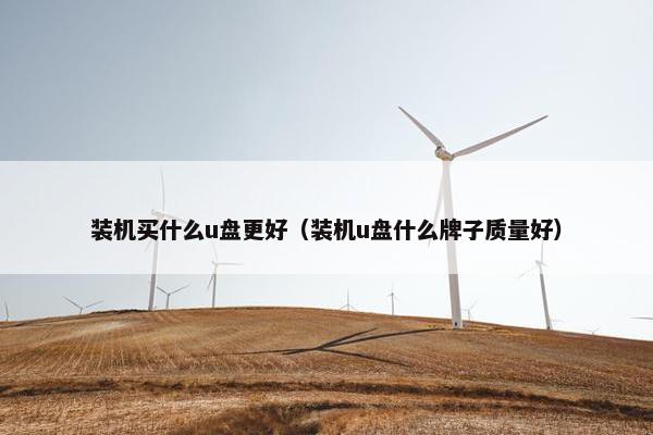 装机买什么u盘更好（装机u盘什么牌子质量好）