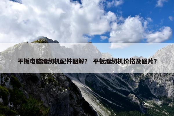 平板电脑缝纫机配件图解？ 平板缝纫机价格及图片？