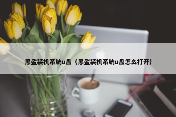 黑鲨装机系统u盘（黑鲨装机系统u盘怎么打开）