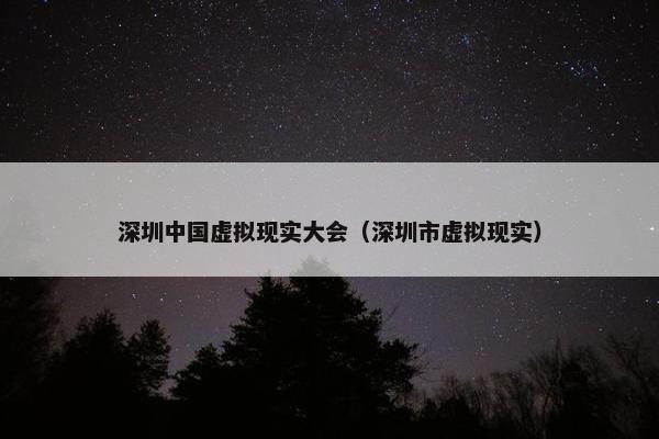 深圳中国虚拟现实大会（深圳市虚拟现实）