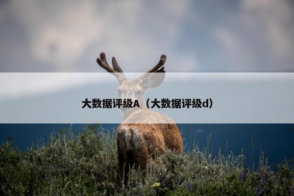 大数据评级A（大数据评级d）