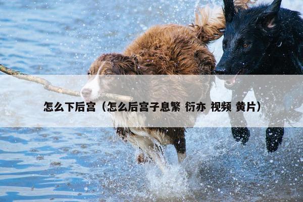 怎么下后宫（怎么后宫子息繁 衍亦 视频 黄片）