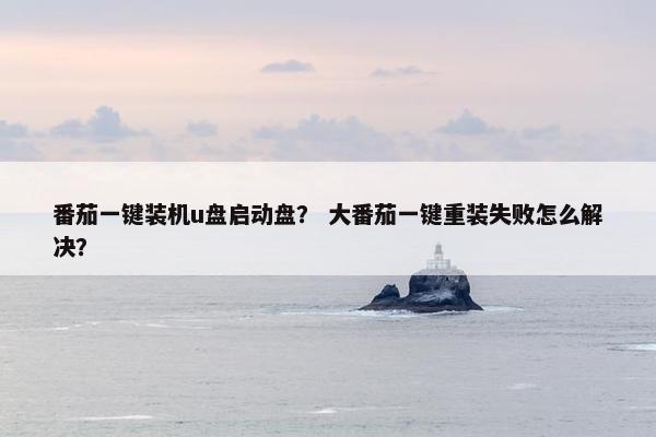 番茄一键装机u盘启动盘？ 大番茄一键重装失败怎么解决？