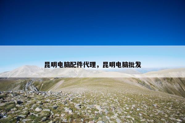 昆明电脑配件代理，昆明电脑批发