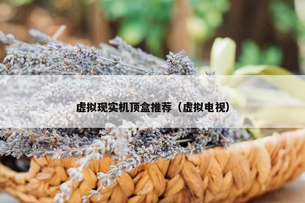 虚拟现实机顶盒推荐（虚拟电视）