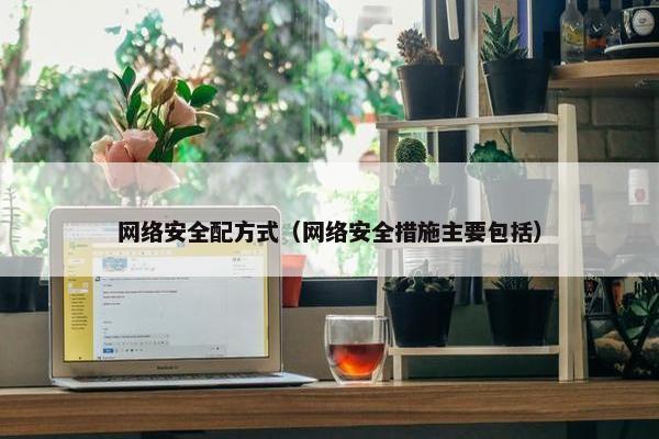 网络安全配方式（网络安全措施主要包括）