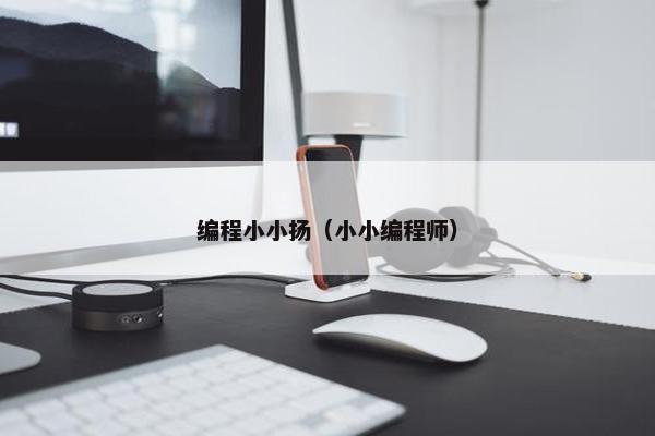 编程小小扬（小小编程师）