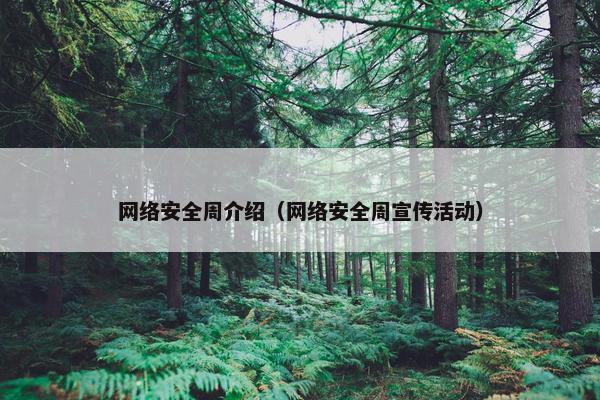 网络安全周介绍（网络安全周宣传活动）